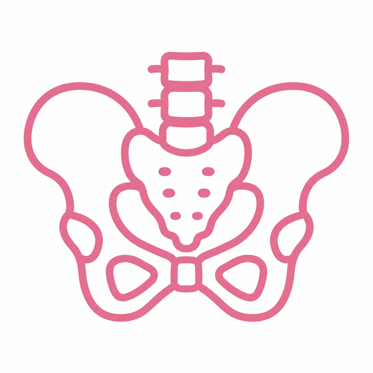 骨盤のイラスト